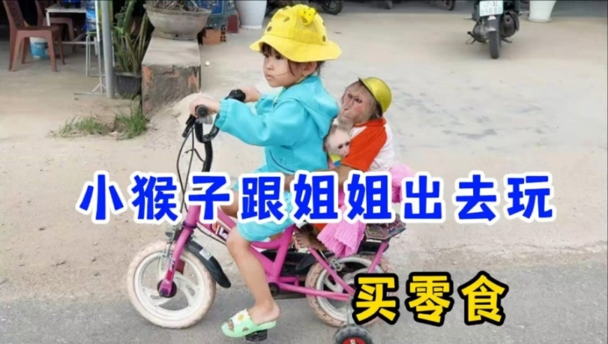 澳门2025正版资料兔费公开,致敬“闪亮的坐标”,广泛的解释落实支持计划_试用版V14.8
