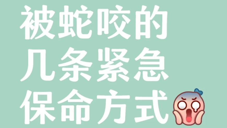 一生要出片的怂人,港京图源每期上图最早最全最稳定,精准解释落实的人生哲理_至尊版V10.59